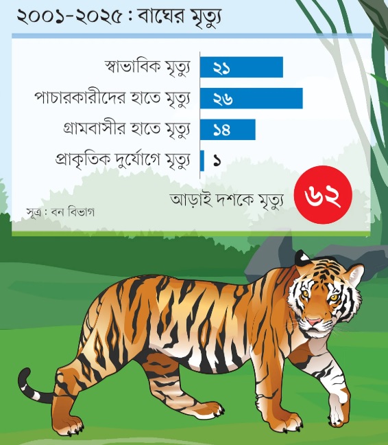 আজ বিশ্ব বাঘ দিবস-বাঘ বাঁচলে সুন্দরবন বাঁচবে